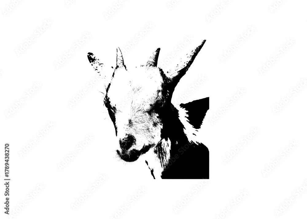 Obraz premium silhouette of a goat