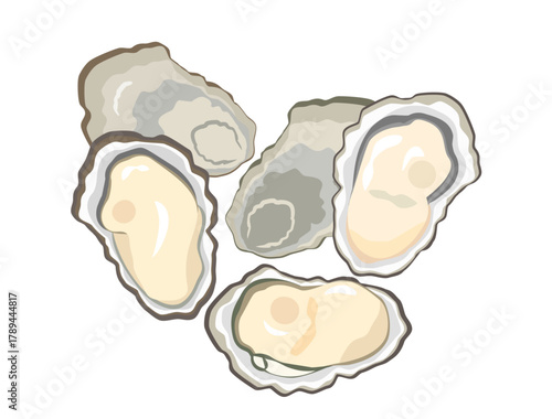 牡蠣をイメージしたイラスト