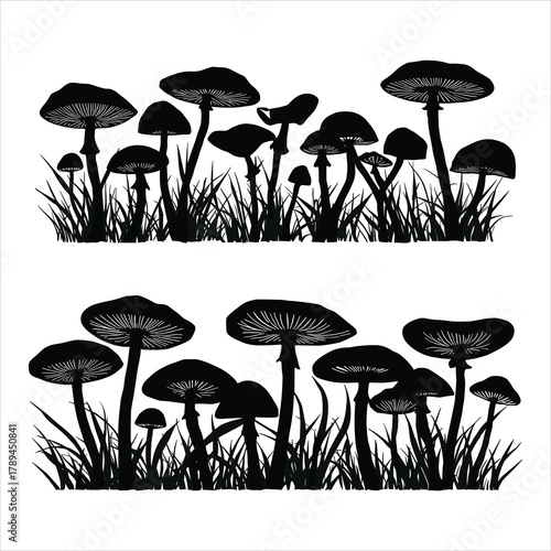 vector illustration of mushrooms on the grass