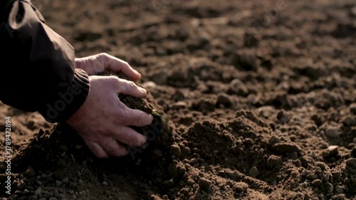 Hands of farmer hold soil from ground, examination of quality to prepare grow seedling of vegetable at organic farm. farmers hands holding black soil in their hands, fertile land concept.
