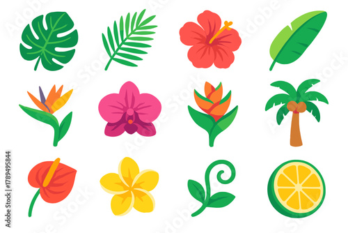 Tropical Botanical Icons. Tropical Botanicals modern flat icons set: monstera leaf, palm frond, hibiscus flower, banana leaf, bird of paradise, orchid bloom, heliconia, coconut