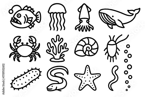 Deep Sea Icons. Deep Sea Life linear icon set: anglerfish, jellyfish, squid, whale, crab, coral, shell, plankton, sea cucumber, eel, starfish, bubble trail.
