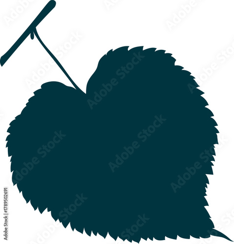 Hand-drawn linden-tree leaf silhouette on transparent background. Flat and line style vector illustration. 