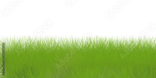Green grass isolated flat design graphic illustrated on white background. Grass bushes side view object template. vector illustration