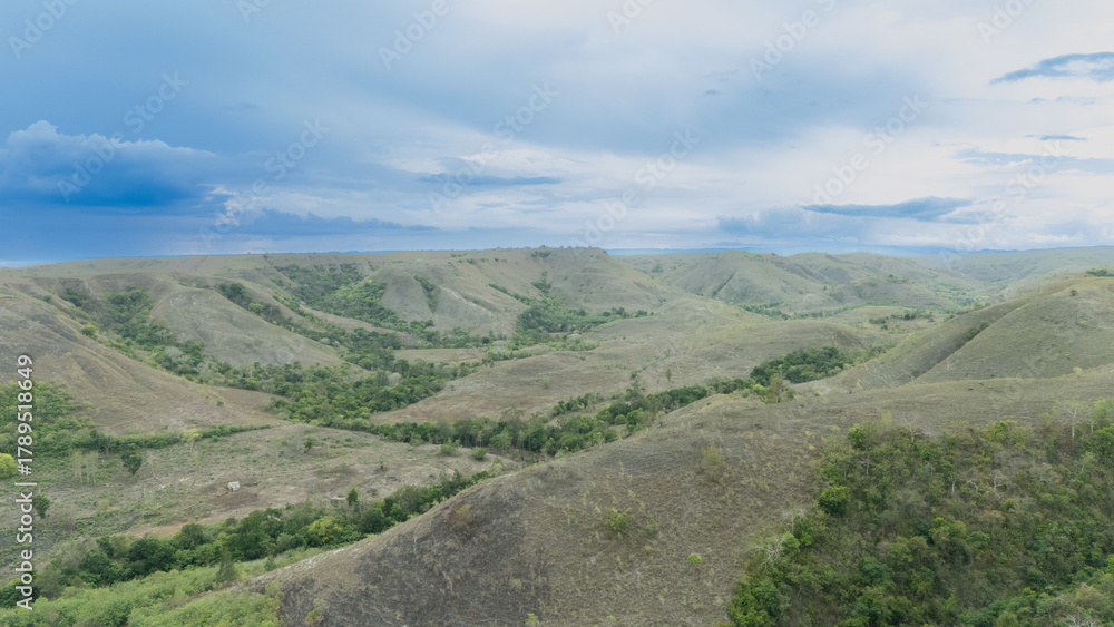 Fototapeta premium Savanna, the hills are beginning to turn green at the start of the 2025 rainy season in Sumba