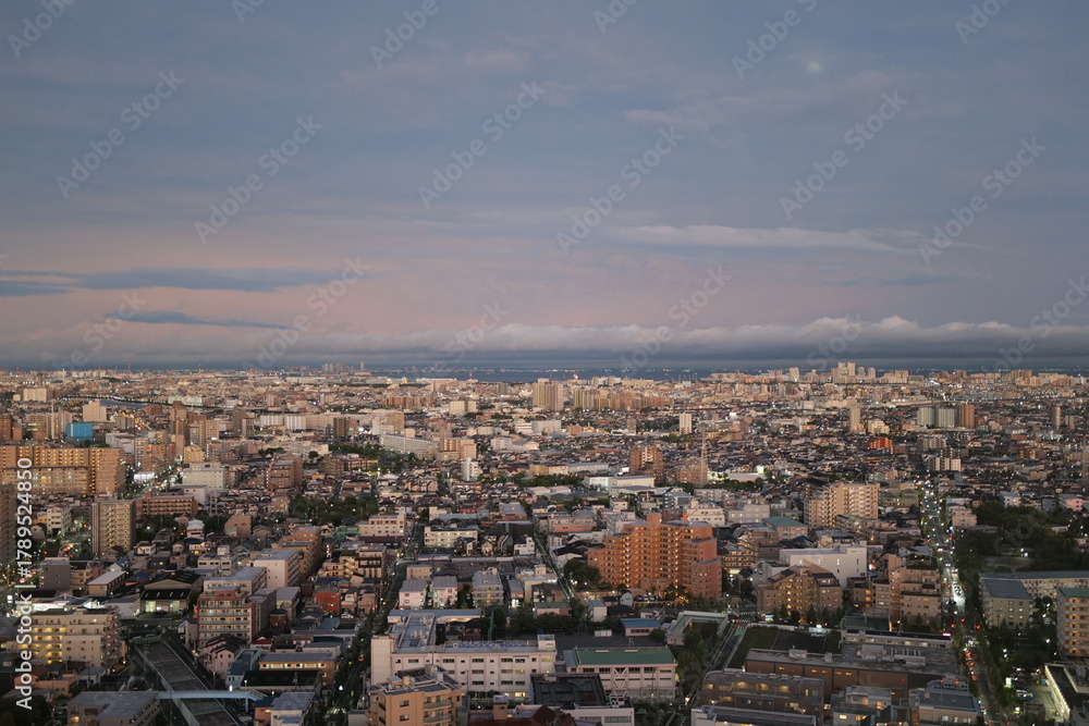 Fototapeta premium 展望台から見る夕方の街