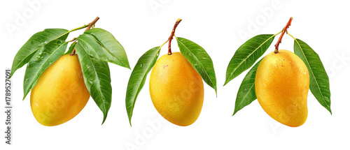 Wallpaper Mural Three ripe mangoes with vibrant yellow skin and green leaves arranged neatly, set against a plain background, showcasing their freshness and appeal for culinary use Torontodigital.ca