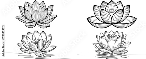Set of four black and white hand-drawn lotus flower illustrations in a detailed line art style, isolated on a white background.