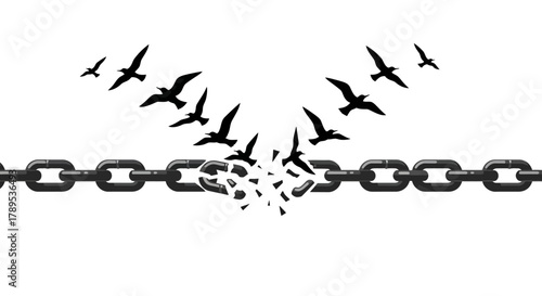 A symbolic image depicting freedom, with birds breaking free from a chain.