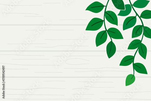 Elegant Green Leaf Vine Illustration for Botanical Backgrounds and Nature Designs