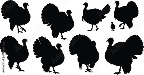 Turkey bird silhouette vector illustration showing multiple poses of wild and domestic turkeys, perfect for Thanksgiving, wildlife design, farming, and holiday decorations