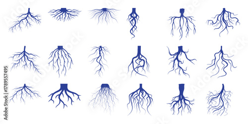Collection of Diverse Blue Tree Root Systems on White Background