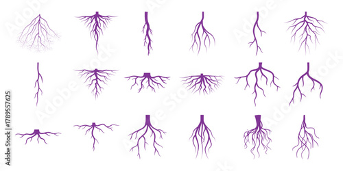 Collection of Purple Tree Root Illustrations on White Background