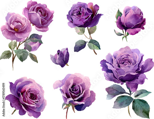 bouquet of pink roses