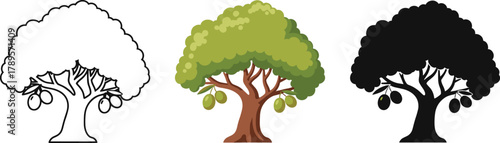 Olive Tree Icon Set with Fruit - Outline, Color, and Silhouette Vector