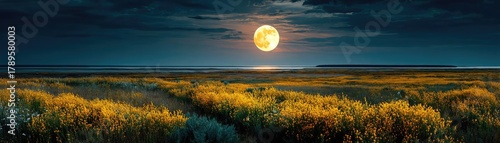 Full moon shining on wildflower field at night concept. A serene moonlit field under a starry night sky.
