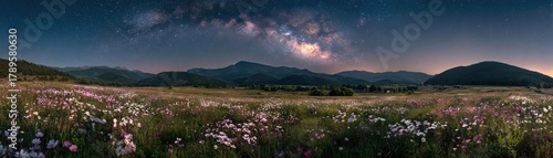 Full moon shining on wildflower field at night concept. Breathtaking panoramic view of a wildflower field at night.