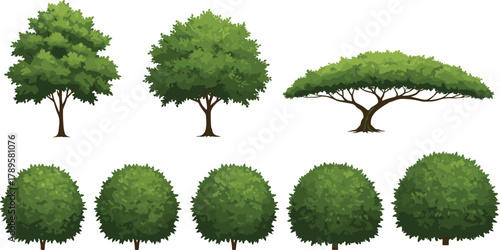 Collection of realistic green trees and bushes illustration, natural forest foliage set, eco friendly landscape design, botanical nature vector