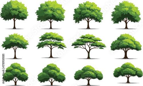 Set of twelve realistic green trees illustration, natural forest landscape collection, eco friendly environment concept, botanical nature vector design