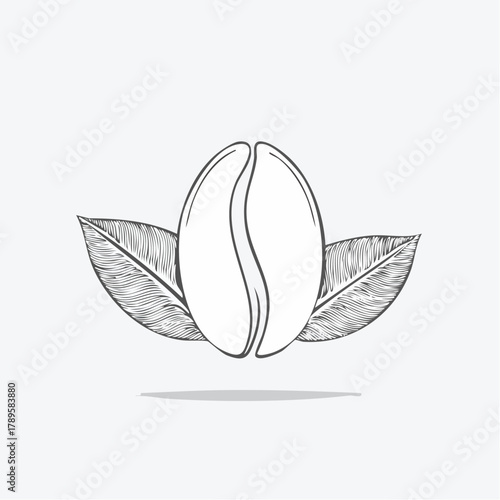 Monoline Coffee Leaf & Bean Logo – Black & White Vector for Organic Coffee Brand