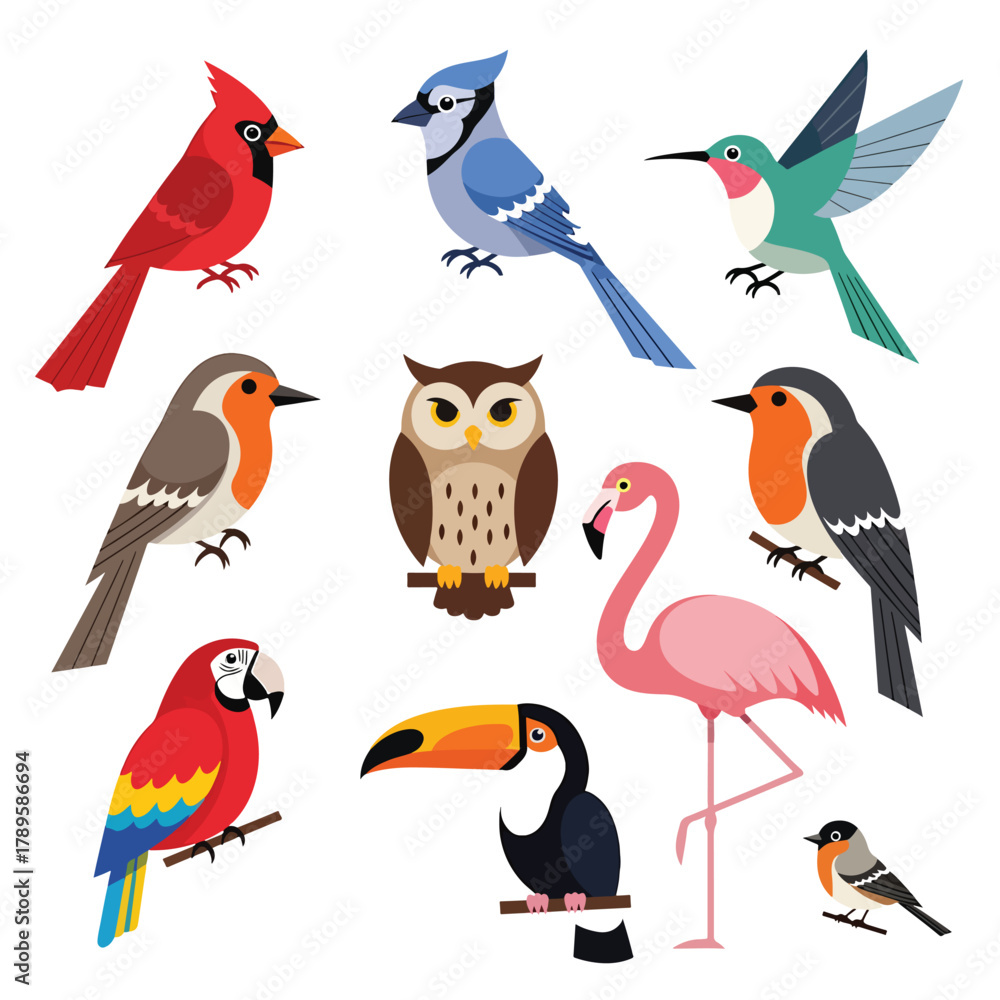 Naklejka premium Collection of diverse birds