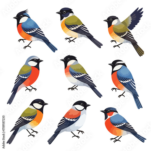 Collection of nine small colorful birds