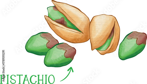 vector illustration of a green leaf