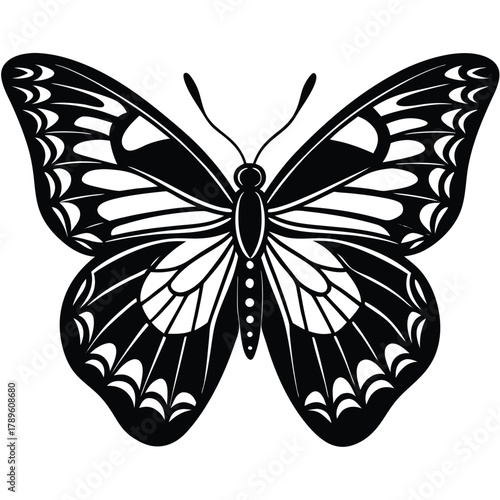 Abstract black and white butterfly vector illustration isolated