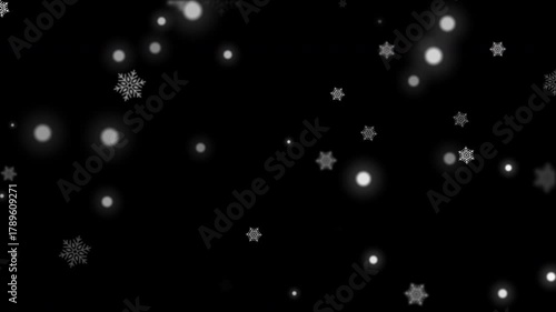Loop White snow flake falling on black background