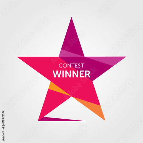 Vector Logo for the Contest Winner