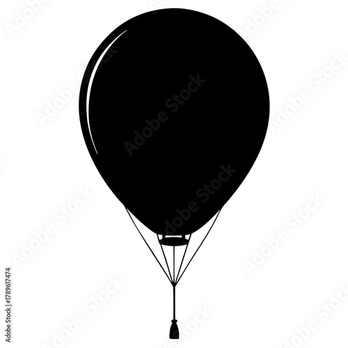 hot air balloon
