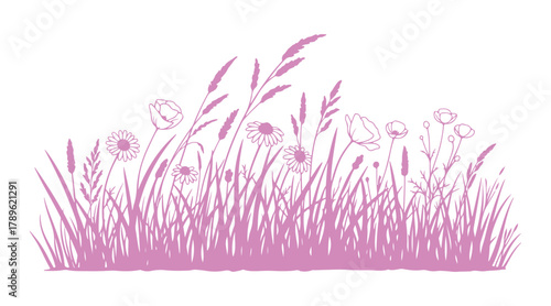 hand-drawn vector art piece with a black outline. It showcases wild meadow grasses and wildflowers.

