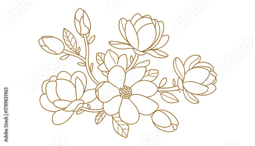 Delicate line art illustration of a blooming magnolia branch with buds and leaves in golden brown on a white background