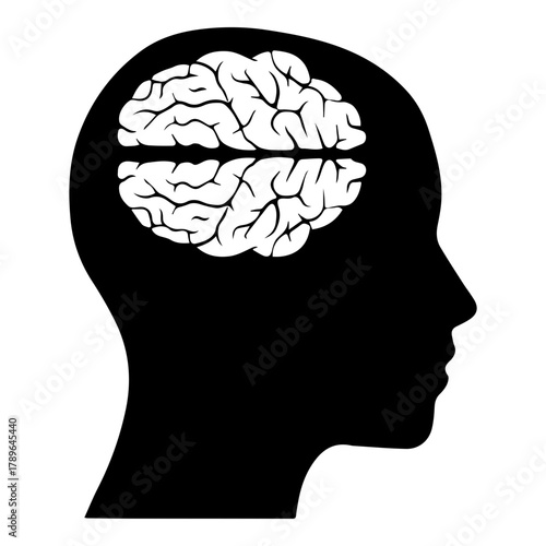 Silhouette Profile of Human Head with Visible Brain Anatomy Icon for Psychology and Intelligence