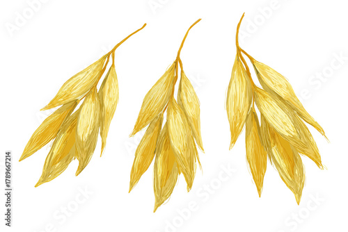 Three Golden Oat Sprigs Cereal Grain Vector Illustration