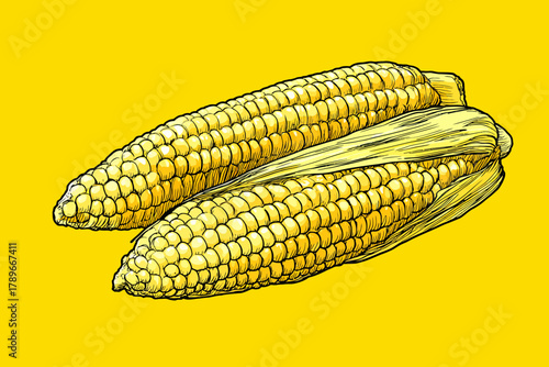 Hand-Drawn Sketch Illustration of Two Corn Cobs on a Cob Against a Vibrant Yellow Background