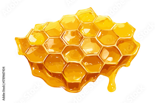 Realistic Vector Illustration of Golden Honeycomb Piece Dripping Sweet Syrup on White Background