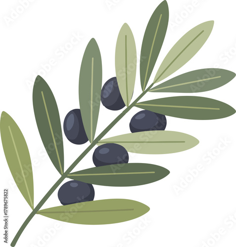 Fresh olive branch vector illustration featuring lush green leaves and ripe dark olives symbolizing Mediterranean cuisine.