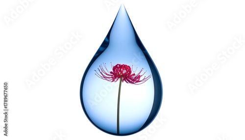 A red, spidery flower encased within a teardrop of clear blue water against a stark white backdrop
