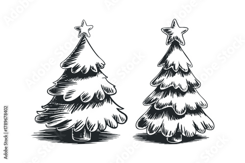 Drawn Evergreen Trees with Star Topper