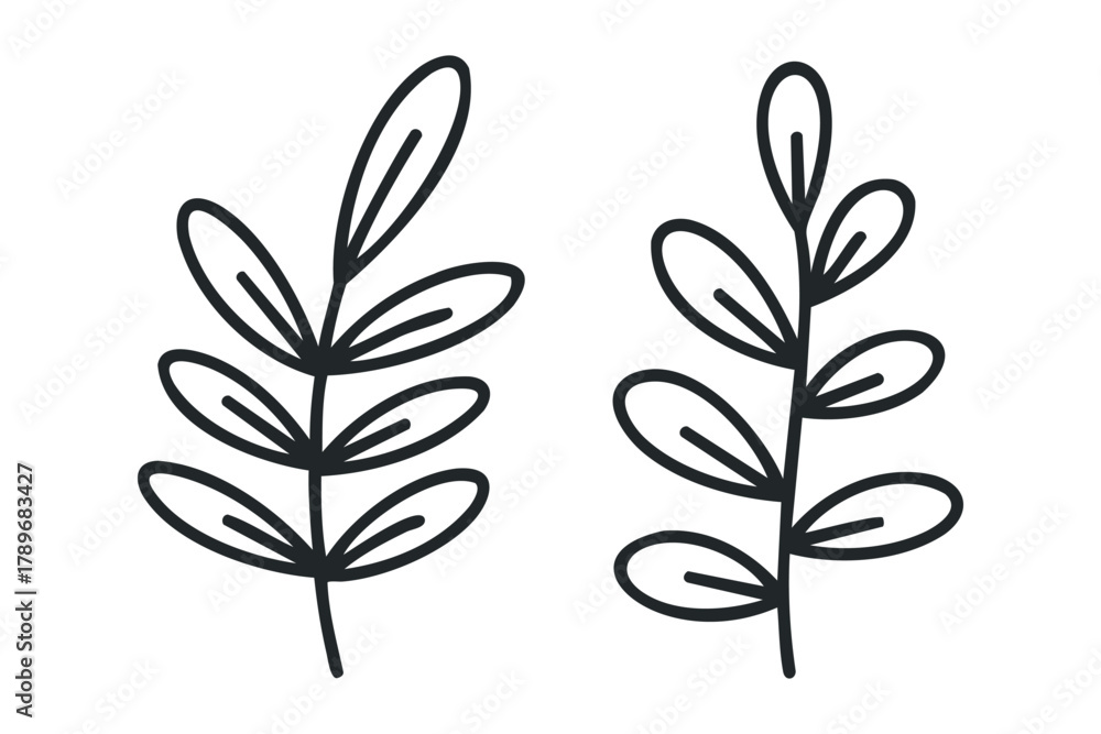 Fototapeta premium Minimalist Outline Twig and Leaves