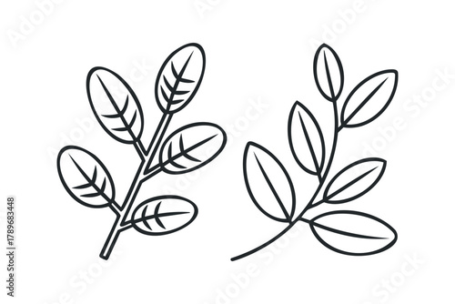 Two simple line drawings of plant stems with leaves