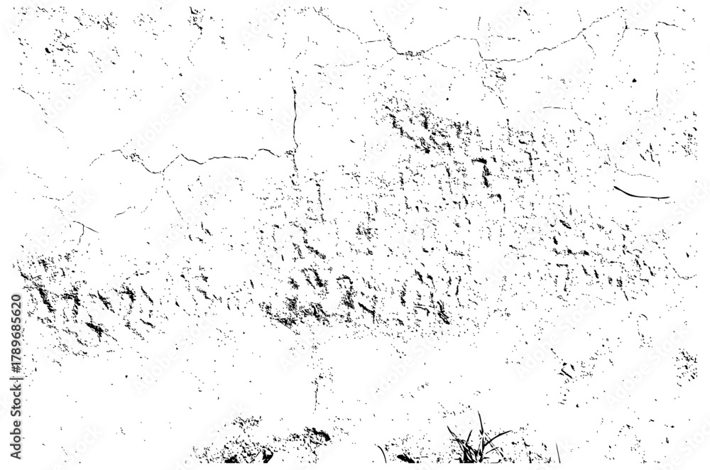 Fototapeta premium Cracked Surface Texture for Background Design