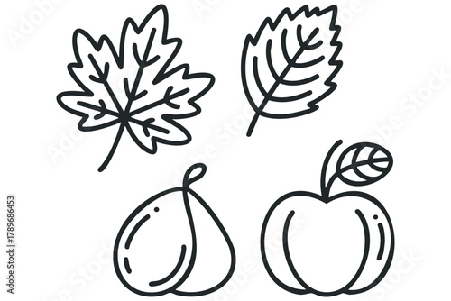 Simple line drawings of autumn leaves and fruits
