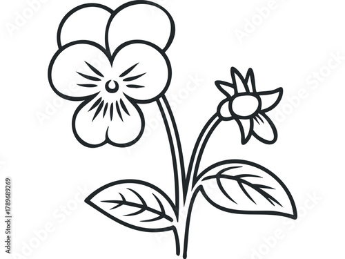Outline of a Pansy flower and bud with leaves