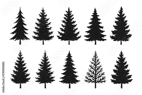 Set of Vector Silhouettes of Christmas Trees on Transparent Background, Pine Tree Overlay Texture Collection