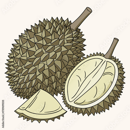 Illustration of a whole durian fruit cut in half showing its creamy yellow flesh and a slice