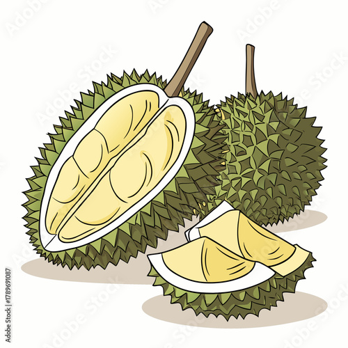 A delicious ripe durian fruit cut open revealing its creamy yellow flesh and segments with two whole durians in the background