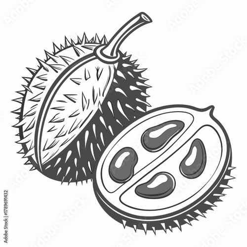 Stylized black and white illustration of a whole durian fruit and a halved durian showing its seeds and segments