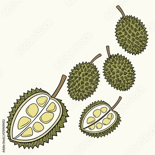 Illustration of whole and halved durian fruits with visible yellow flesh and seeds on a light background